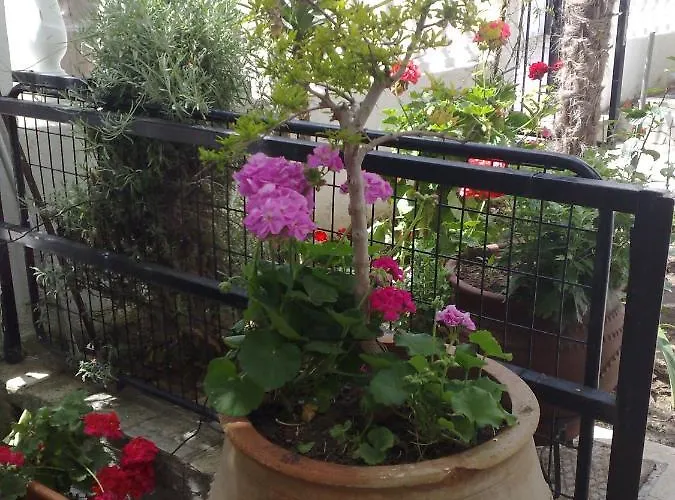 Apartamento Lena In *